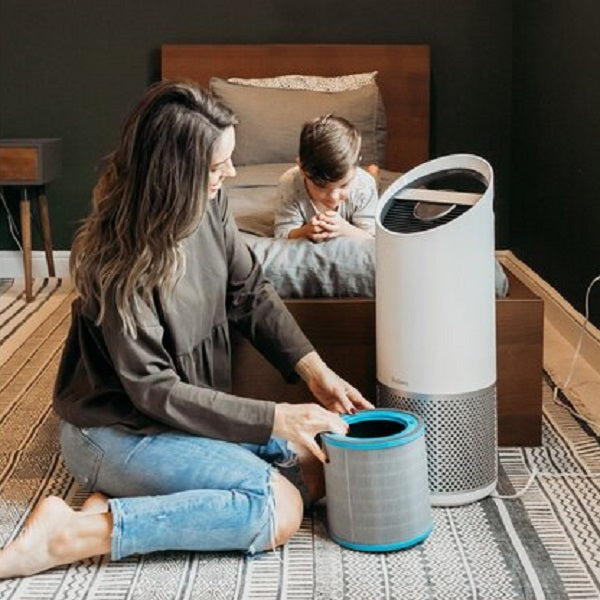 Trusens_Allergy_Flu_Filter_True_HEPA_Z3000_living_room.jpg