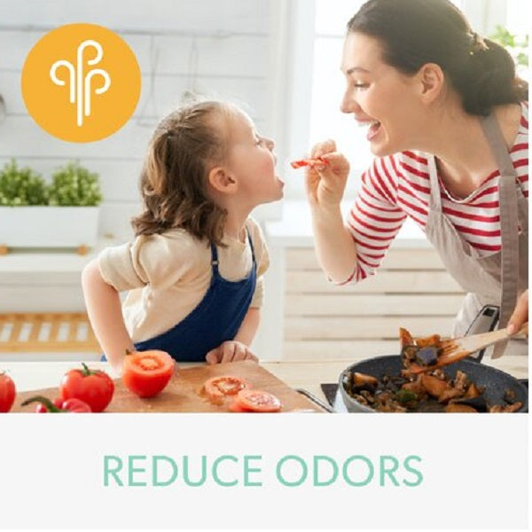Trusens_reducing_odor_voc_filter.jpg
